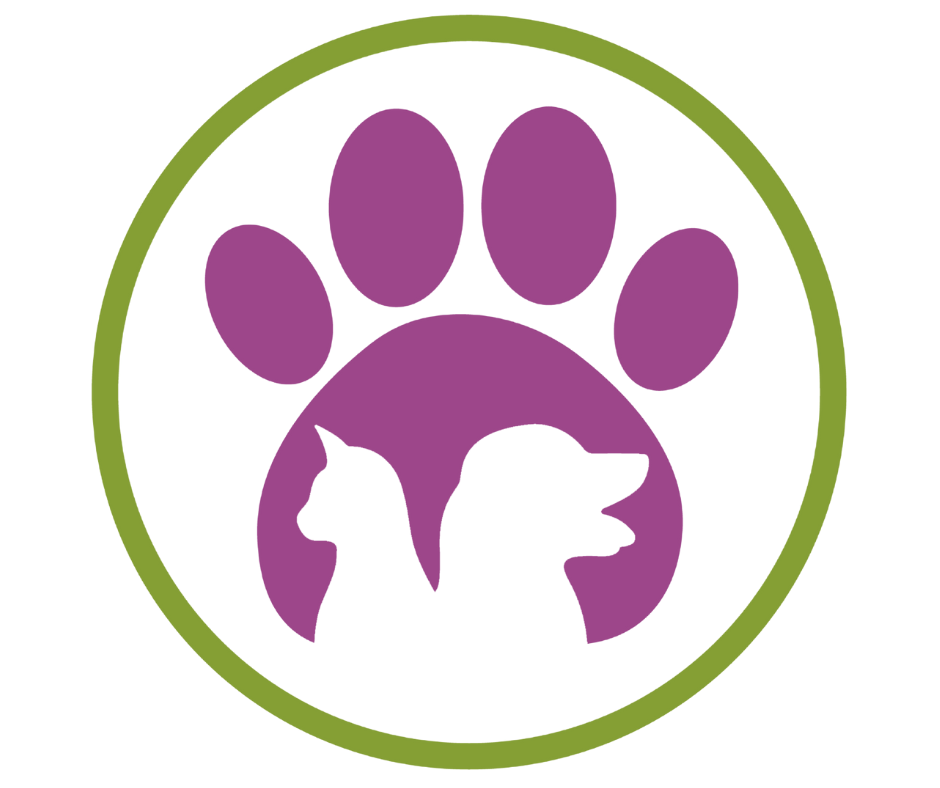 Dog Food For Old Dogs Northland Auckland North Island NZ All Good dog-food-for-old-dogs-northland-auckland-north-island-nz-all-good