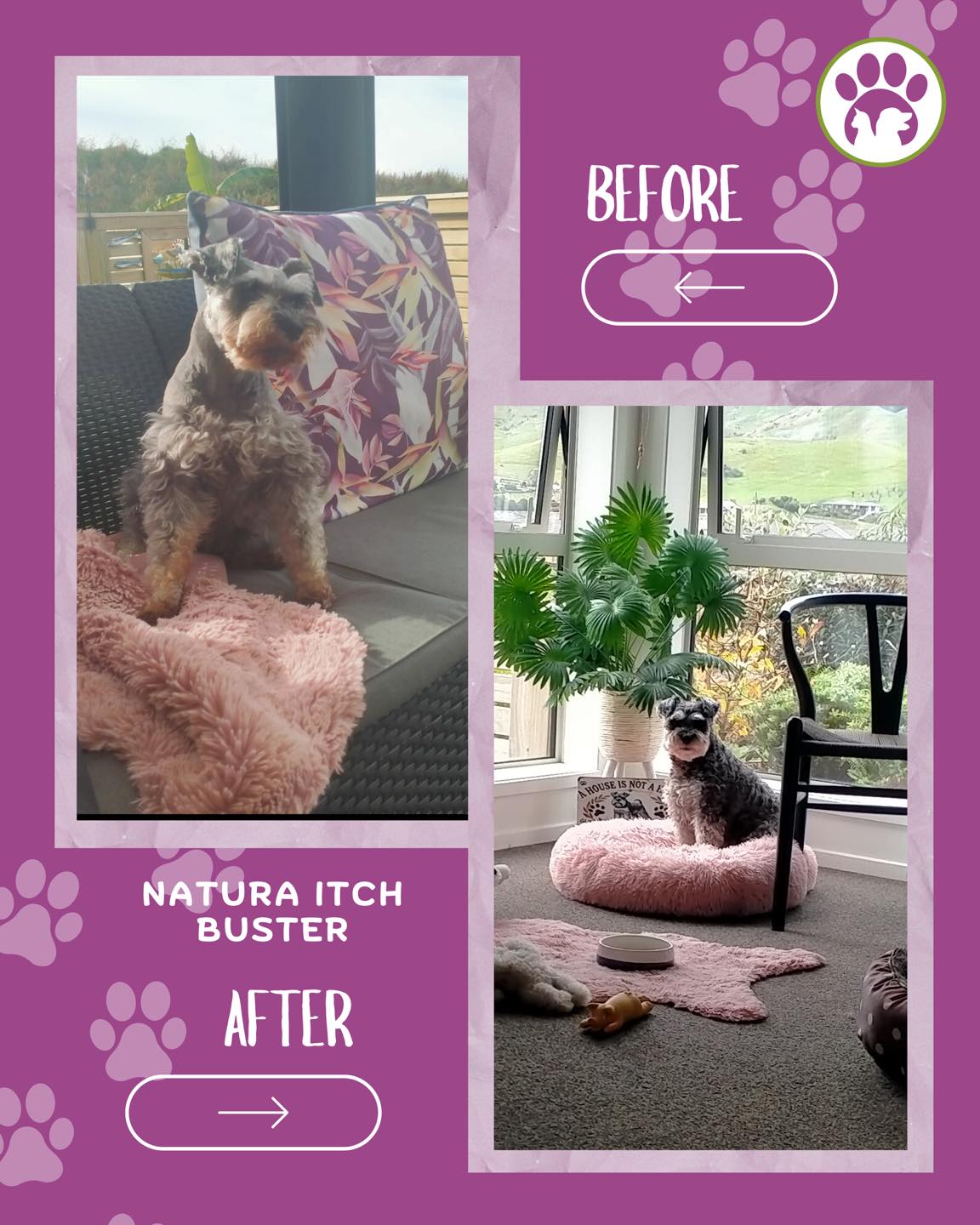 Natura Itch Buster TOP SELLER Hypoallergenic Dog Food