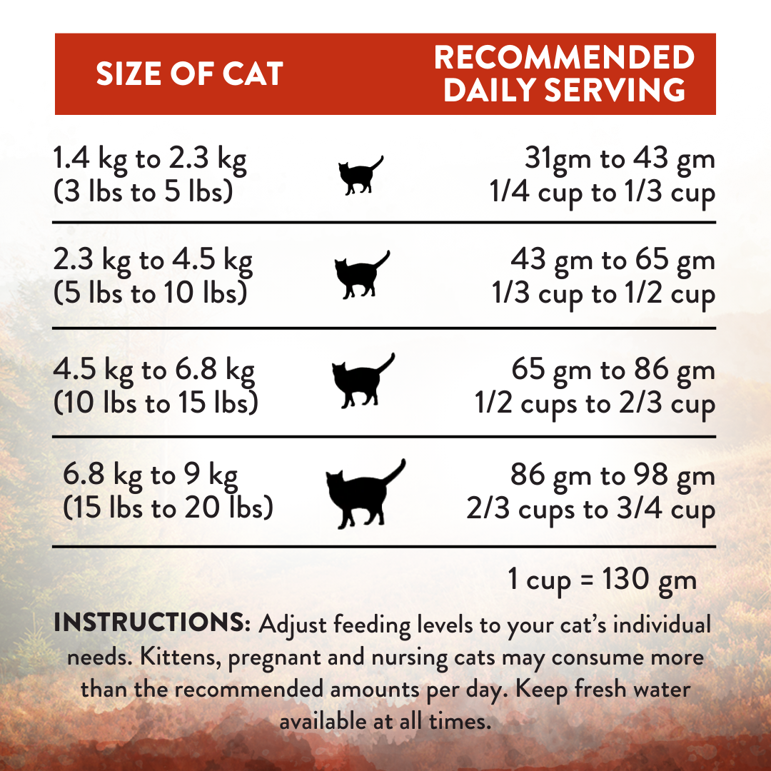 SALE 10% OFF Addiction Wild Islands Forest Meats New Zealand Venison High Protein Dry Cat Food 1.8kg