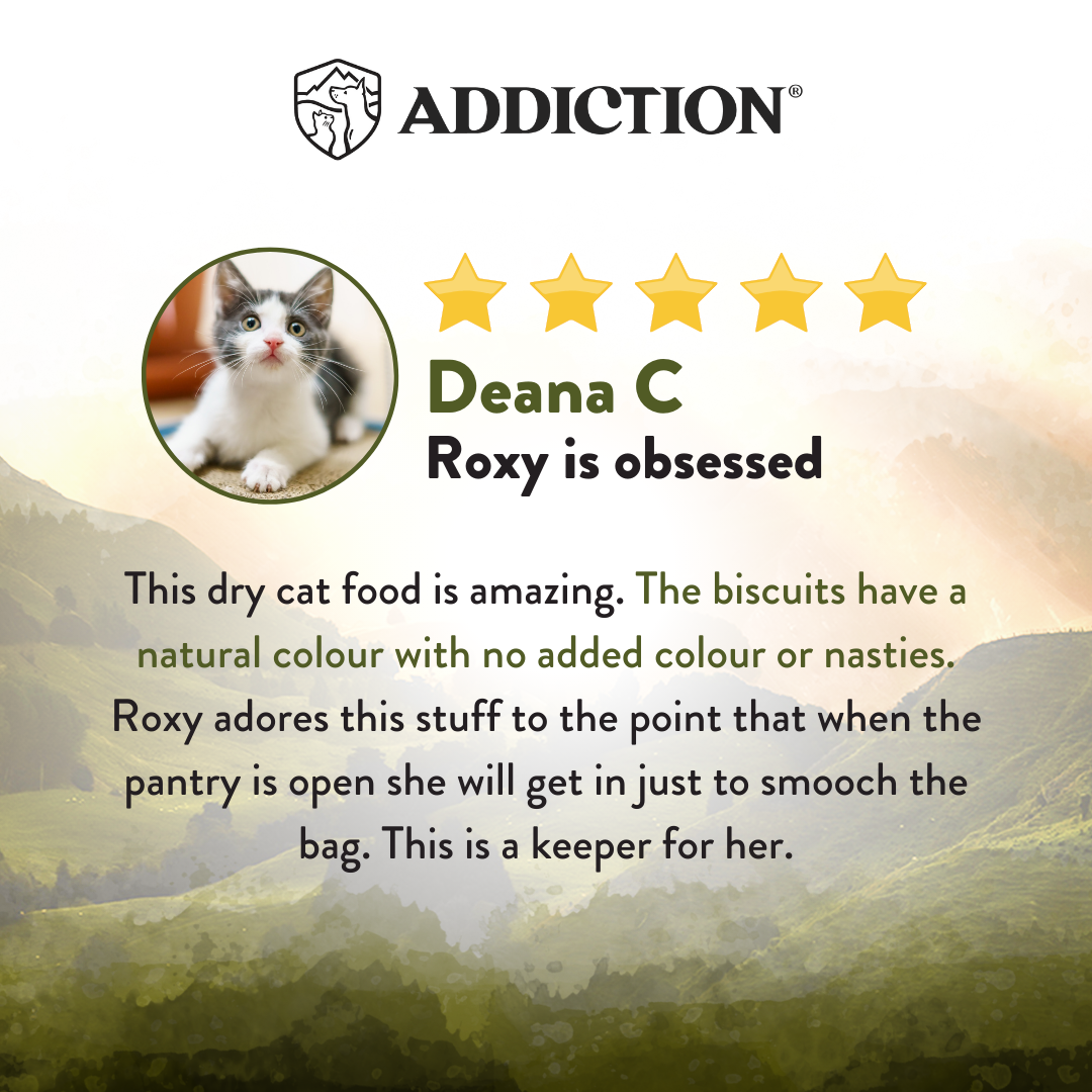 SALE 10% OFF Addiction Wild Islands Highlands Meats New Zealand High Protein Lamb and Beef Dry Cat Food 1.8kg