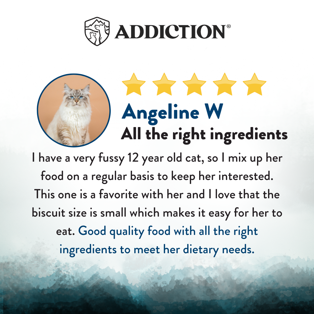 SALE 10% OFF Addiction Wild Islands Pacific Catch New Zealand Salmon Mackerel and Hoki Dry Cat Food