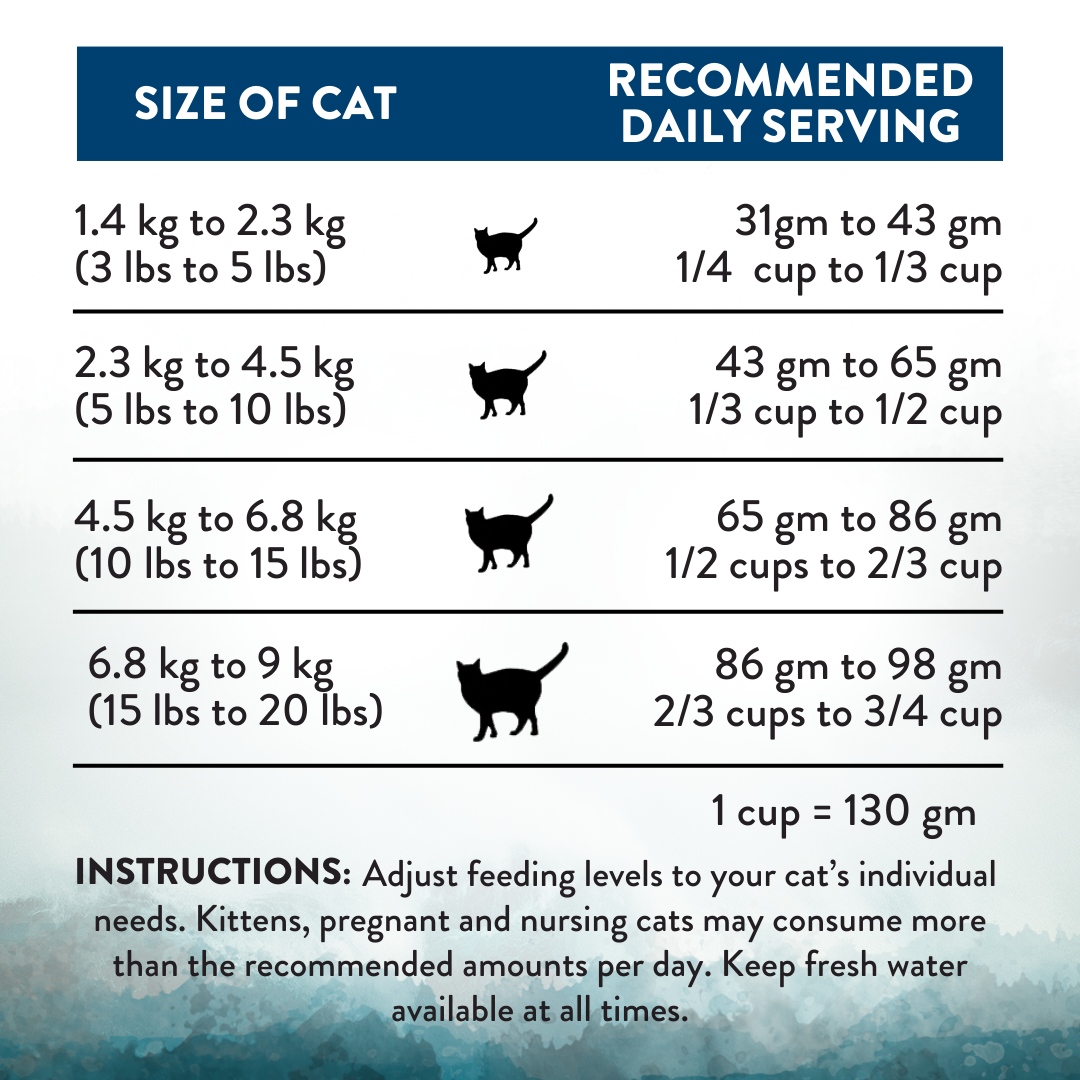 SALE 10% OFF Addiction Wild Islands Pacific Catch New Zealand Salmon Mackerel and Hoki Dry Cat Food