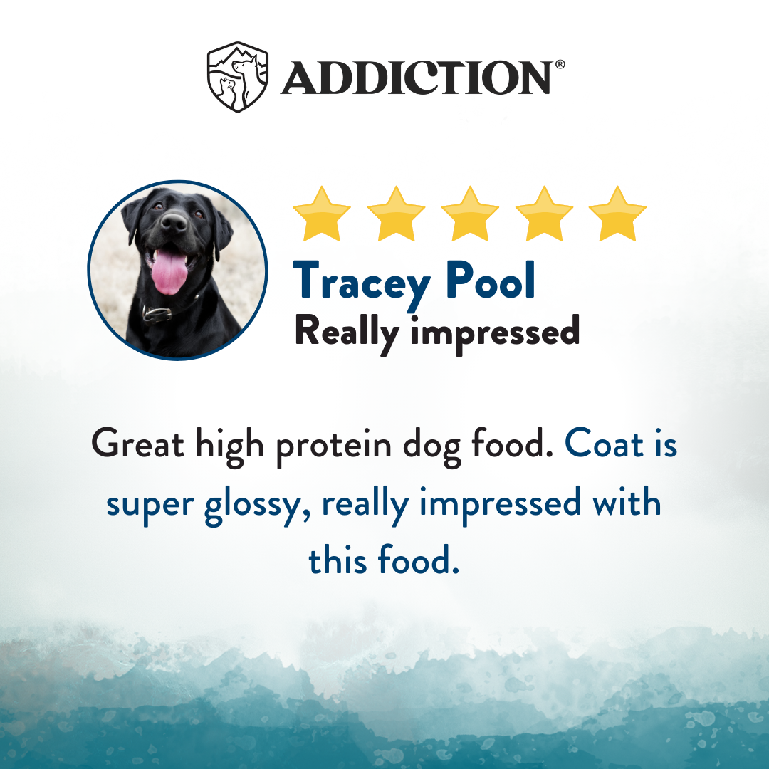 SALE -- 10% 9KG OFF OR 20% OFF 1.8KG -- Addiction Wild Islands Pacific Catch New Zealand Salmon Mackerel & Hoki Dry Dog Food