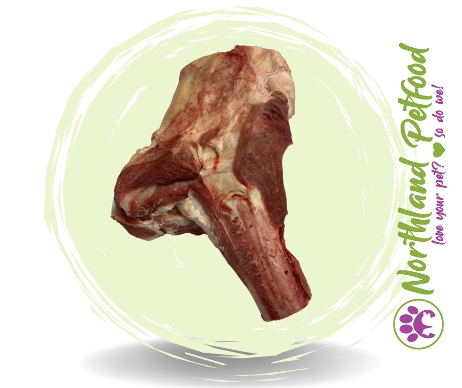 Beef Cannon Bones / IN STORE ONLY