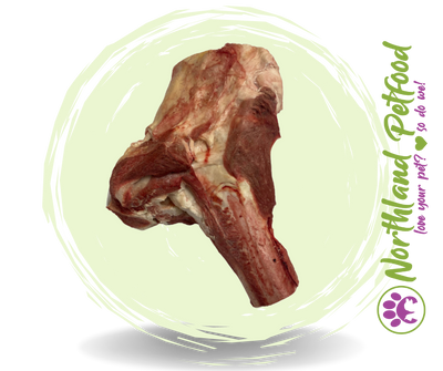 Beef Cannon Bones / IN STORE ONLY