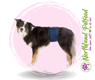 SALE 50% OFF - Belly Bands for Male Dogs