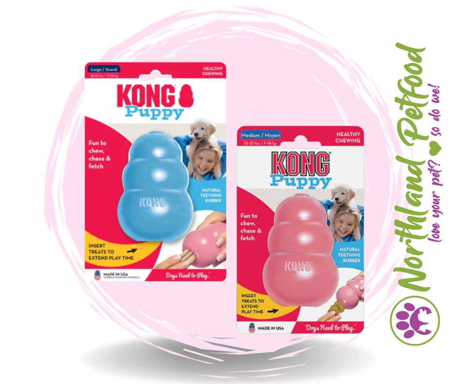 Kong Puppy