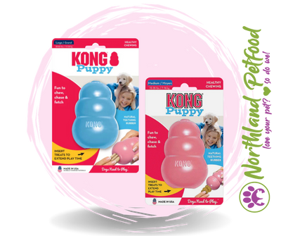 Kong Puppy