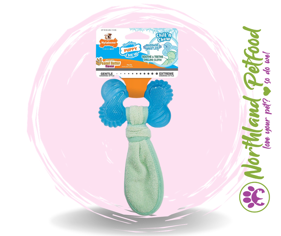 Nylabone Puppy Chew Chill & Chew Dog Toy - Peanut Butter