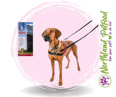 Halti Training Lead