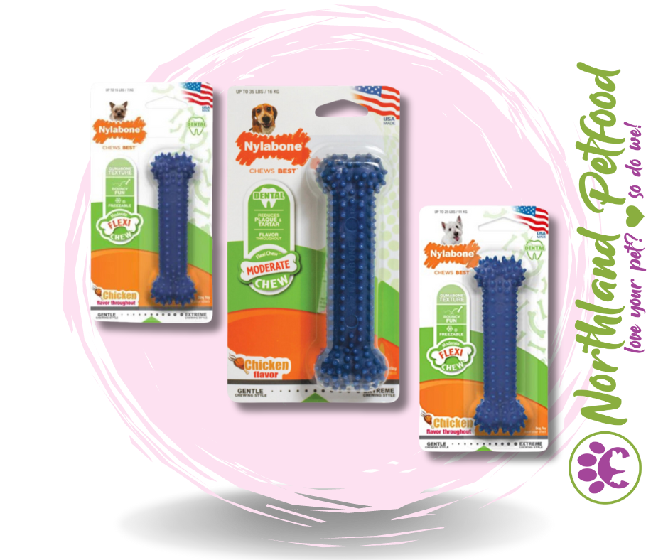 Nylabone Dental Chew Bone- Flexi Chew