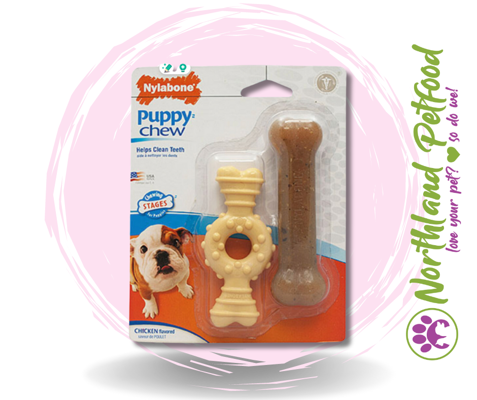 Nylabone Puppy Twin Pack