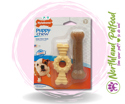 Nylabone Puppy Twin Pack