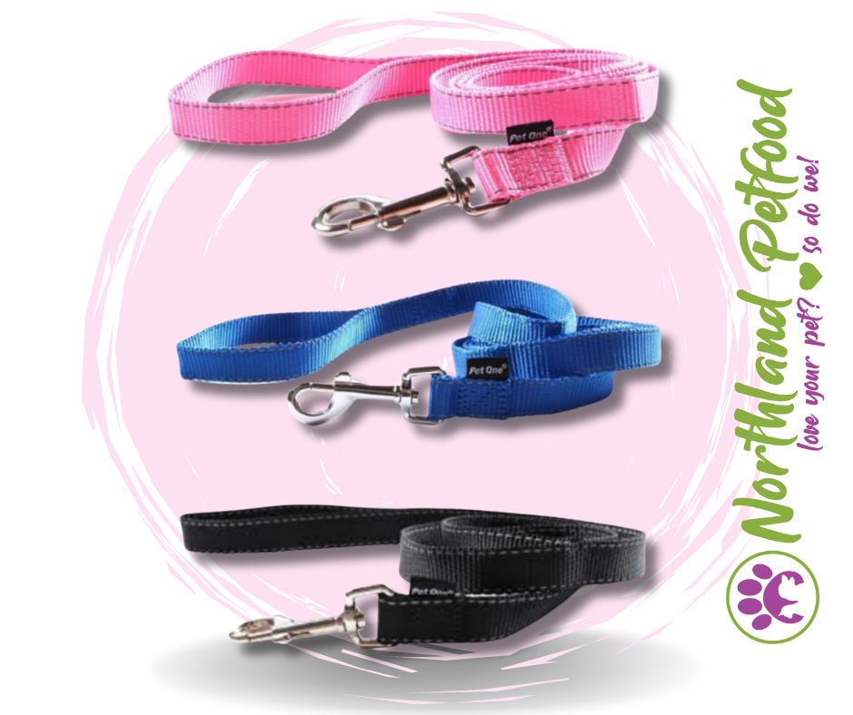 Pet One Reflective Leash- Assorted colours