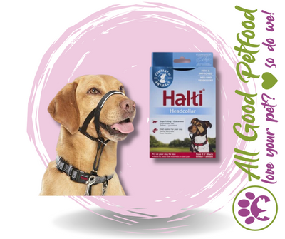 SALE 25% OFF -- Halti Head Collar