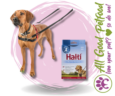 Halti Harness