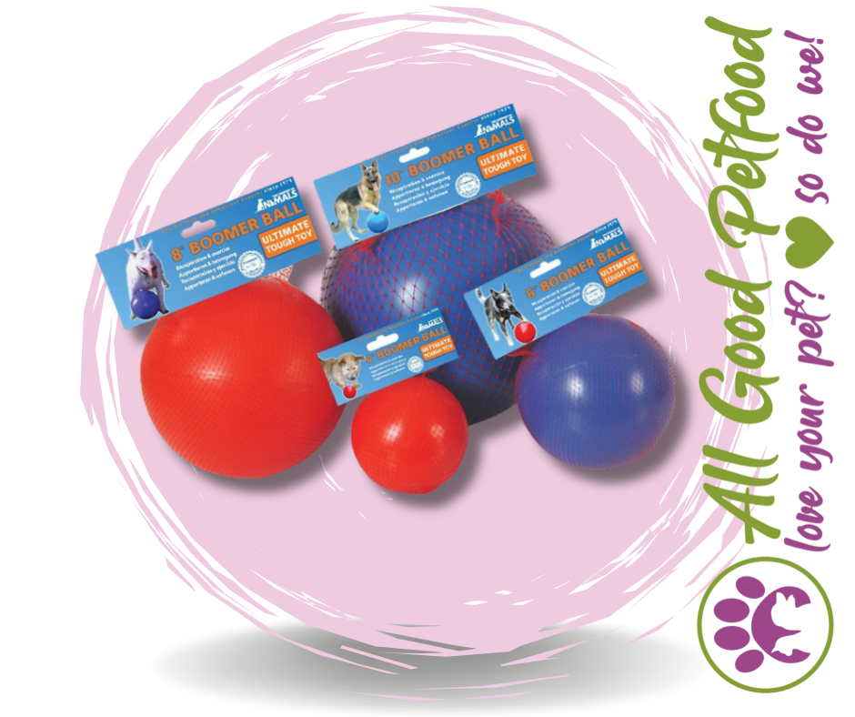 SALE -- 25% OFF -- Toy Ball Boomer*