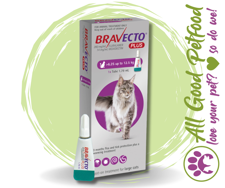 Bravecto PLUS for Large Cats 6.25kg up to 12.5kg All Good Petfood