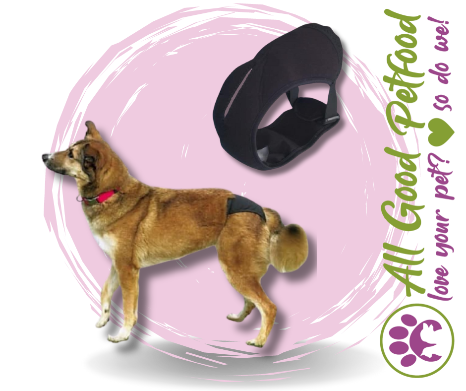 Bitches Britches - Protective Dog Pants