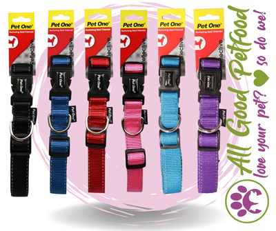 Reflective Nylon Collar- Adjustable