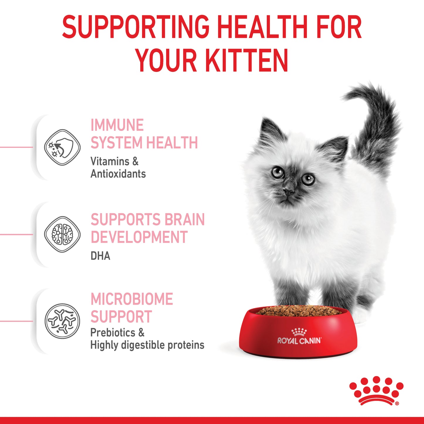 Royal Canin Kitten Dry Food