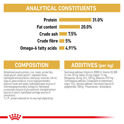 Royal Canin Maine Coon