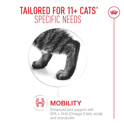 Royal Canin Ageing 11+ Adult Dry Cat Food