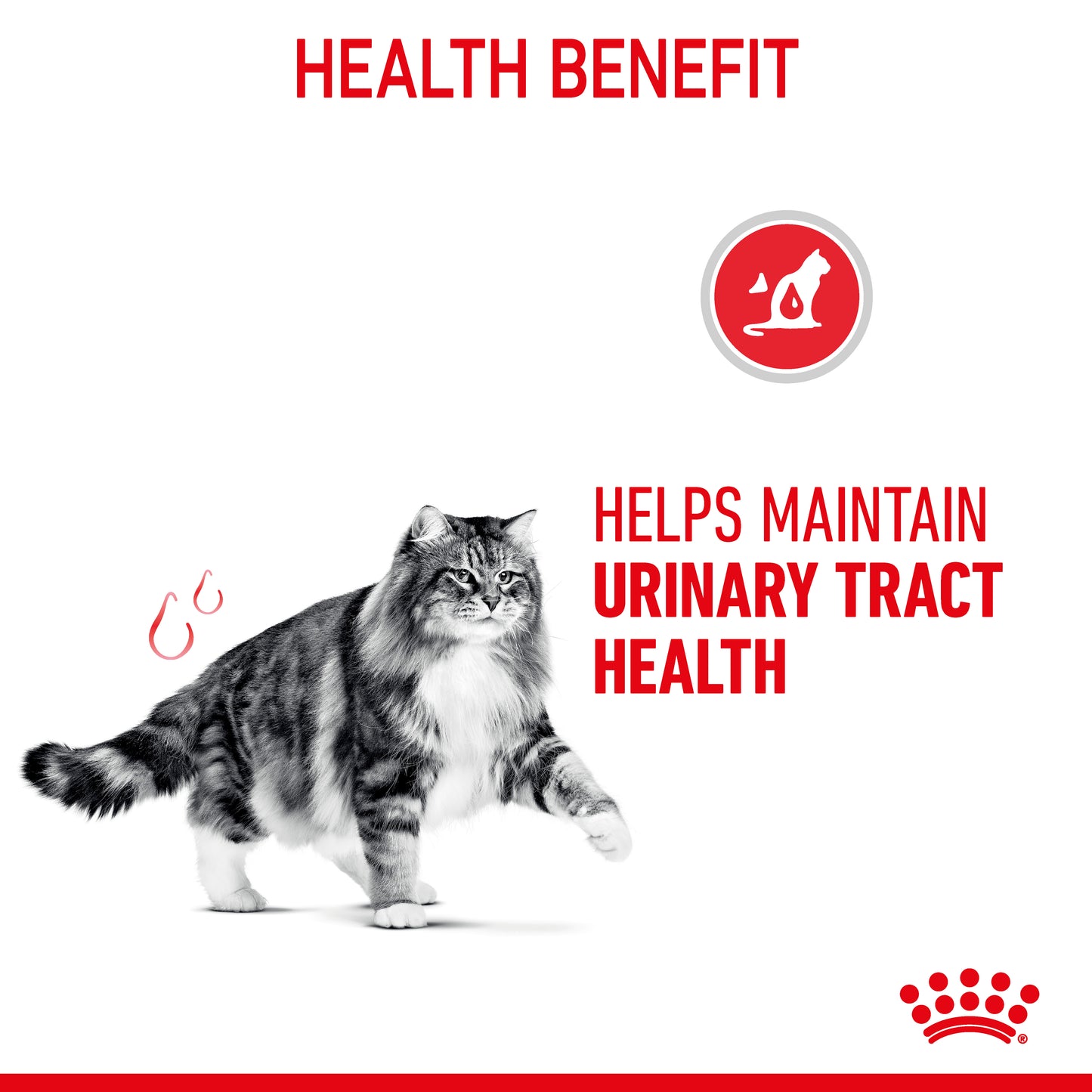 SALE 20% OFF - Royal Canin Urinary Care Gravy Adult Wet Cat Food Pouches