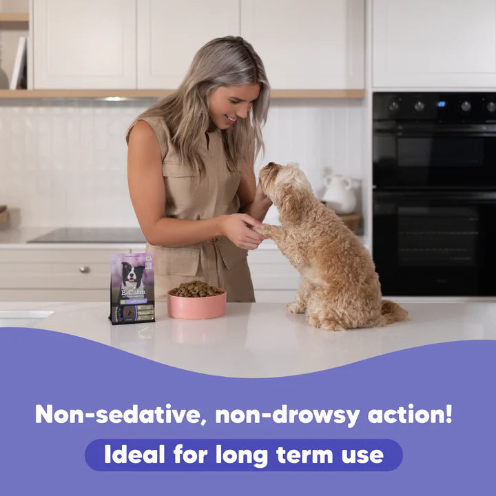 Lovebites DentaShield Chews