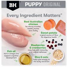 BlackHawk Puppy Large Breed Original - Chicken & Rice