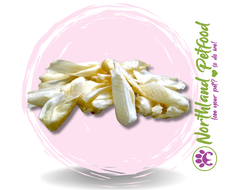Natura Lamb Ears 10 Pack - Plain