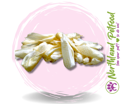 Natura Lamb Ears 10 Pack - Plain