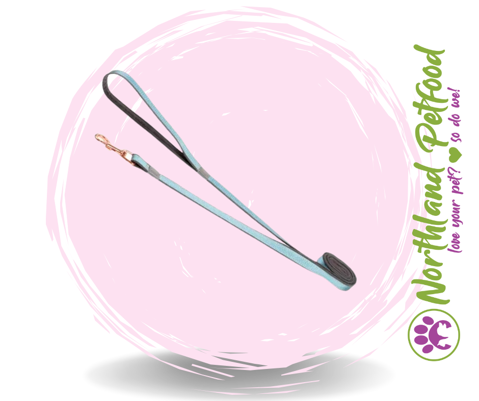 Rogz Urban Classic Lead / Turquoise Moon / Medium