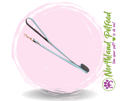 Rogz Urban Classic Lead / Turquoise Moon / Medium