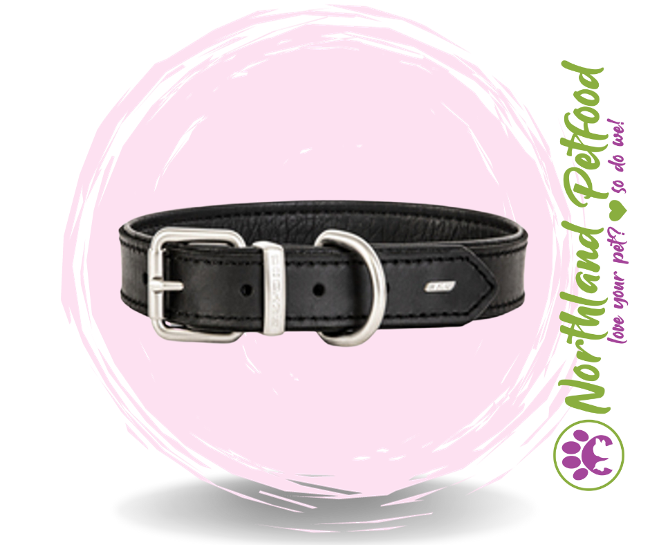 SALE 25% OFF -- EzyDog Oxford Leather Black Collars
