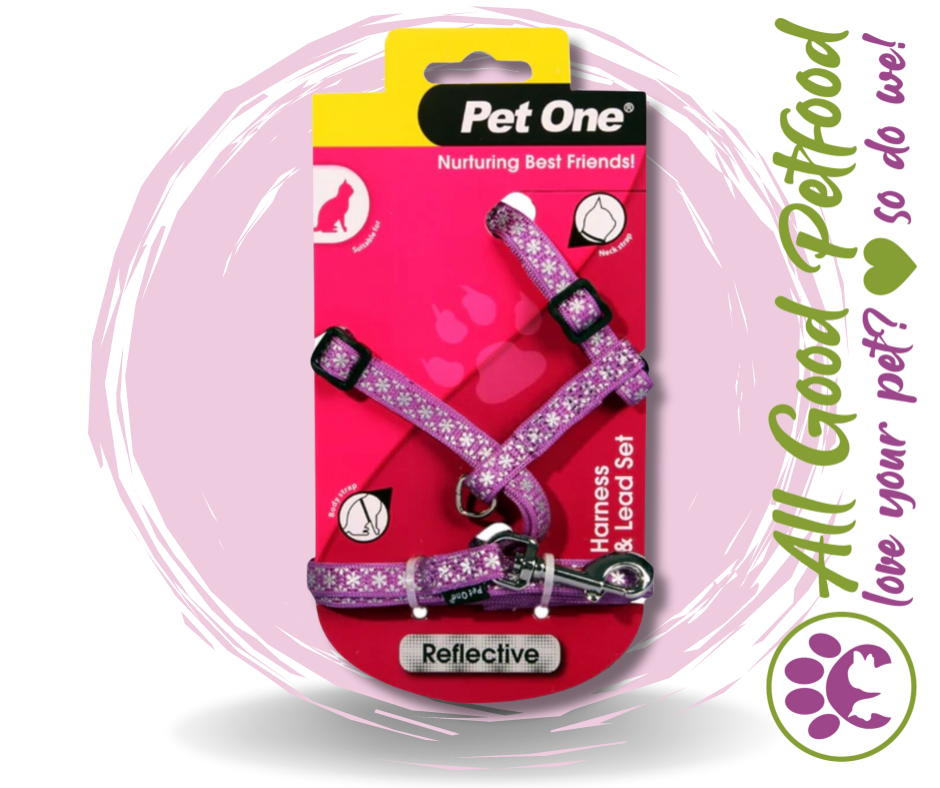 Pet One Harness & Lead Set - Cat/Kitten Reflective