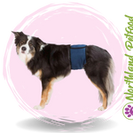 SALE 25% OFF -- Belly Bands for Male Dogs