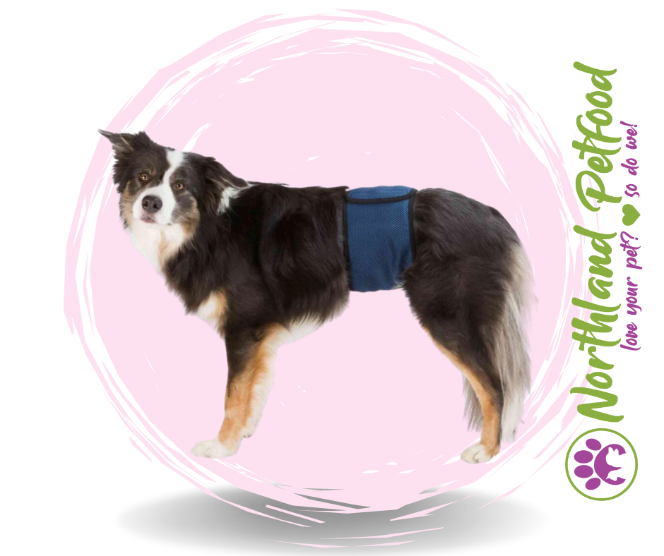 Belly Bands for Male Dogs