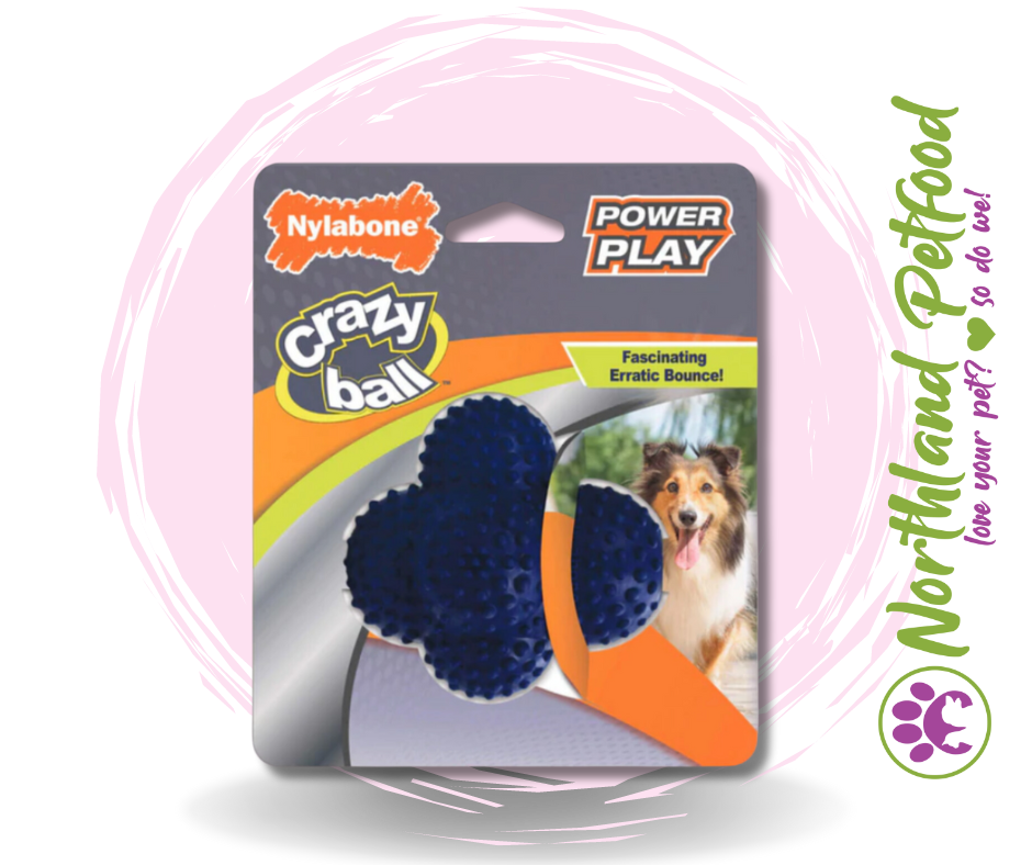 Nylabone Dental Crazy Ball