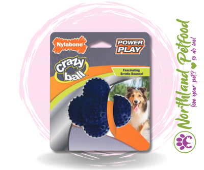 Nylabone Dental Crazy Ball