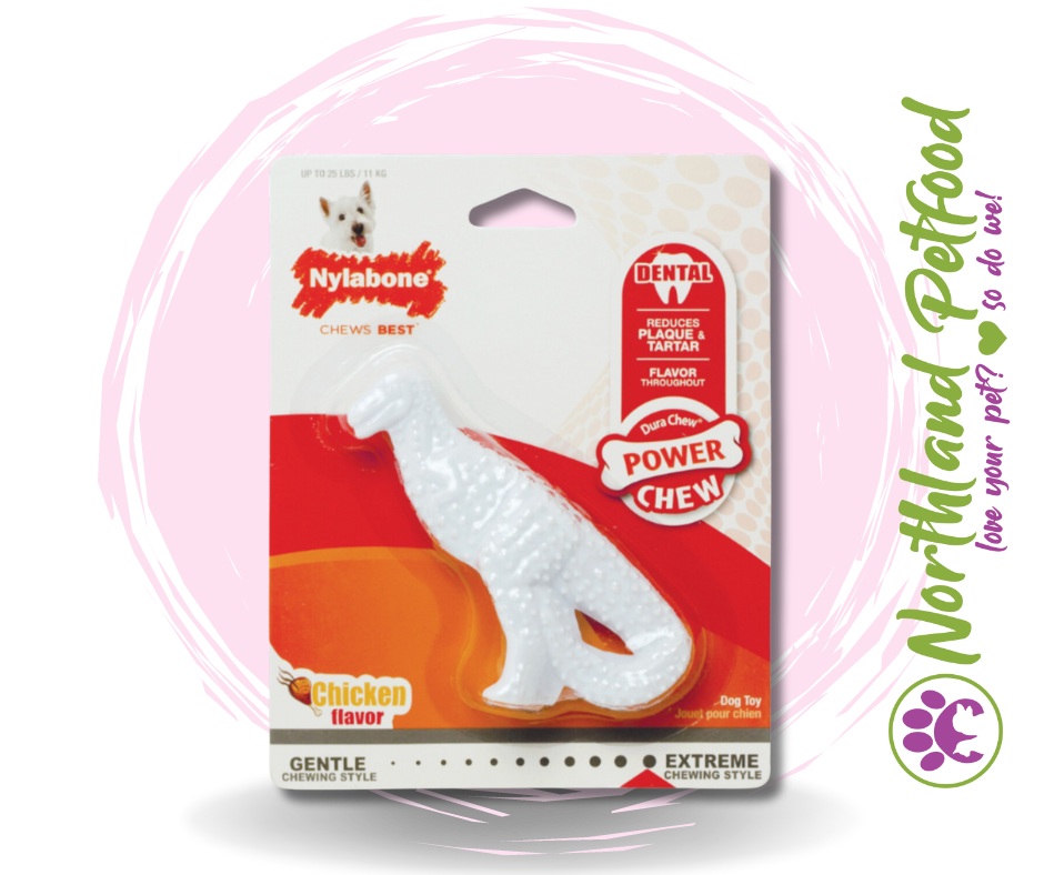 Nylabone Dental Dinosaur-