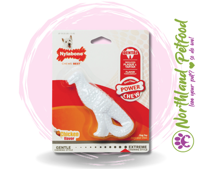 Nylabone Dental Dinosaur-