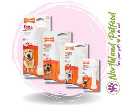 Nylabone Dura Chew Chicken Flavour