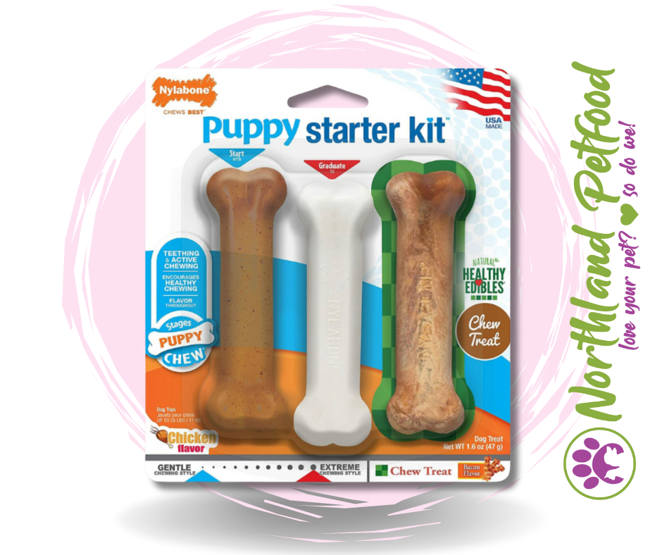 Nylabone Puppy Starter Kit