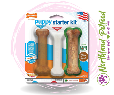 Nylabone Puppy Starter Kit