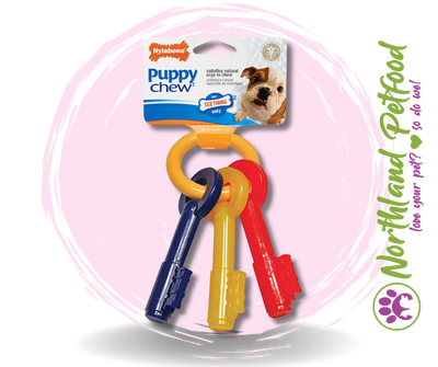 Nylabone Puppy Teething Keys