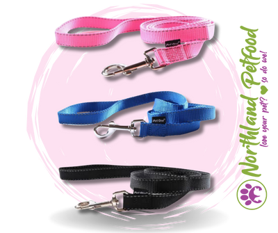 Pet One Reflective Leash- Assorted colours