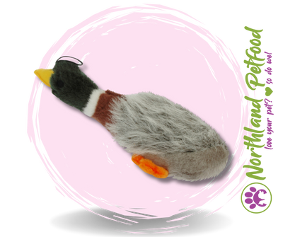 Playtime Mallard Squeaky Toy