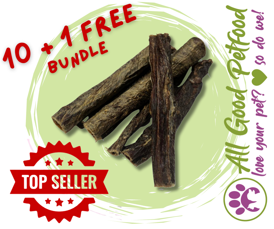 NATURA 15cm XL Bully Sticks Bundle - 10 + 1 FREE!