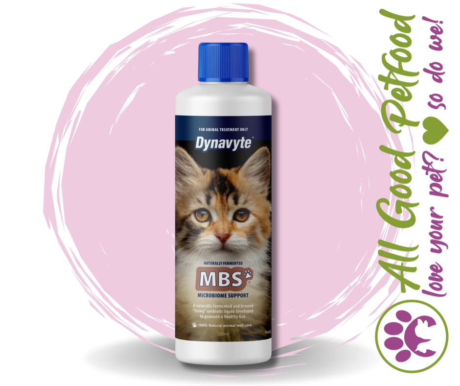 Dynavyte Clever Cat MBS - 250ml